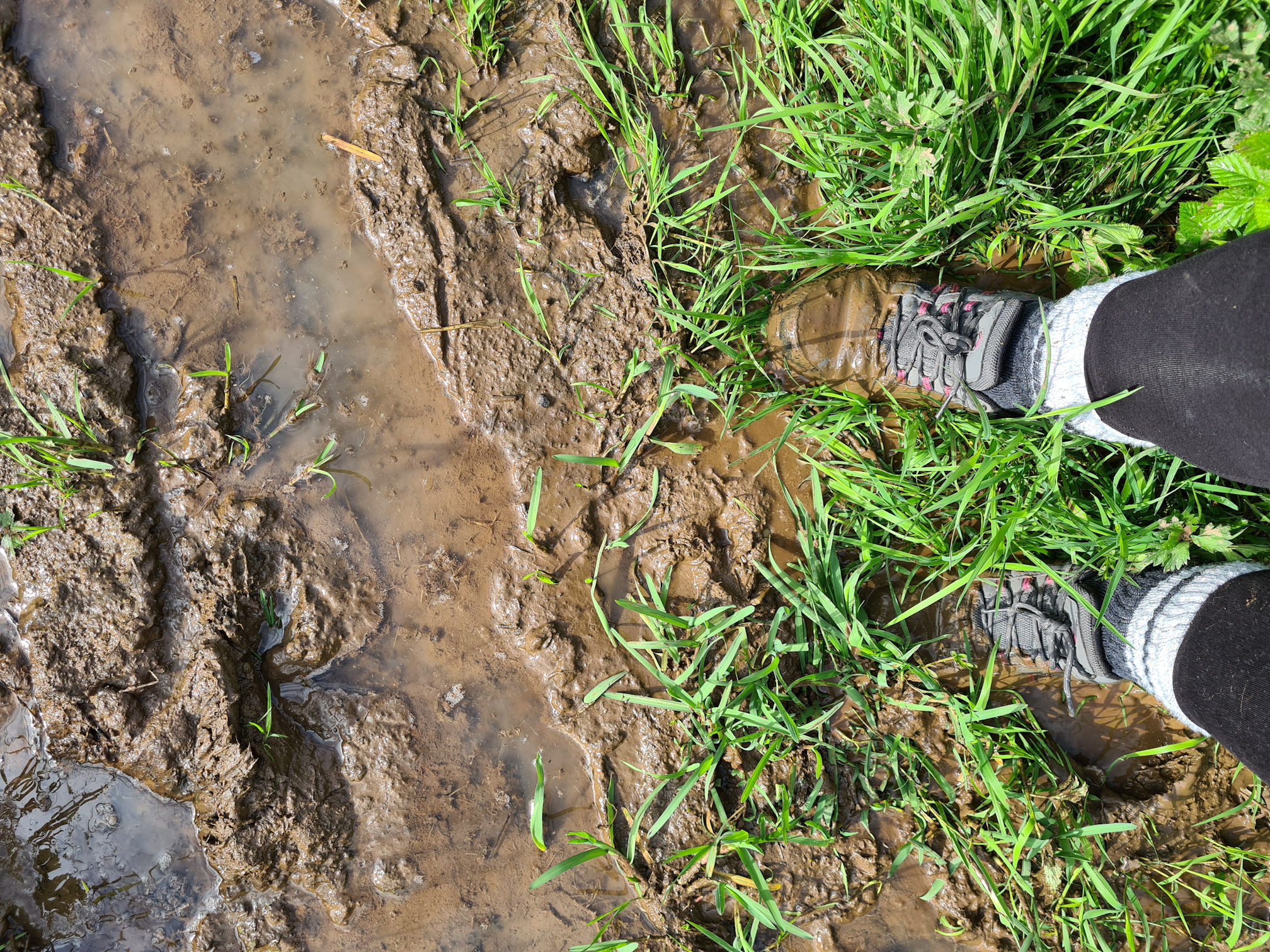 My feet sinking into the mud