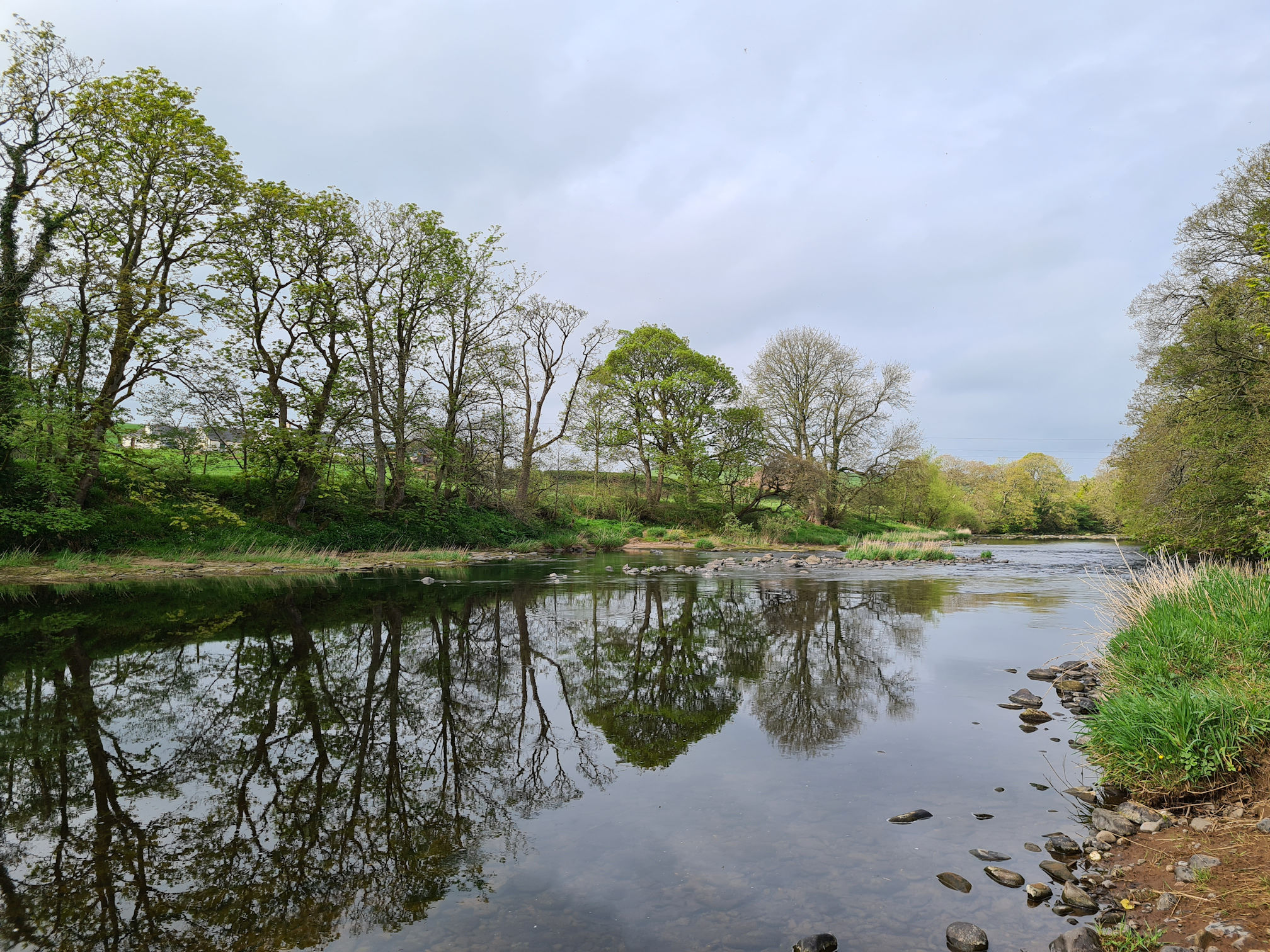River Ayr and tree reflections in the water