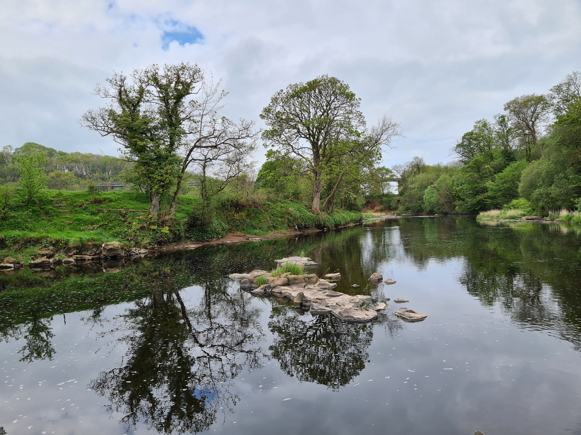 River Ayr with tree reflections in the water and a bridge in the far distance
