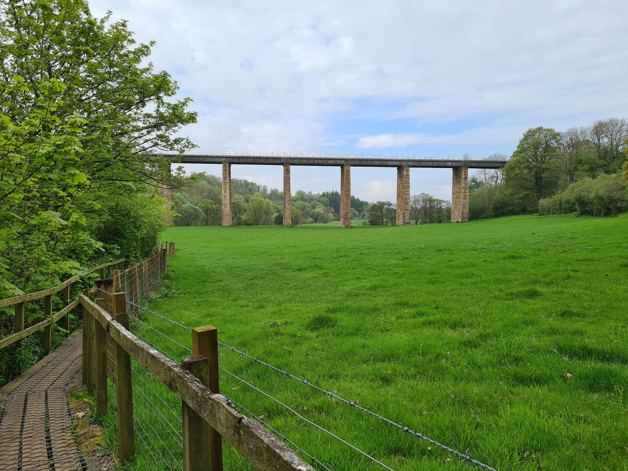 On the left is a wooden boardwalk, lush green field on right, and a tall bridge in the distance