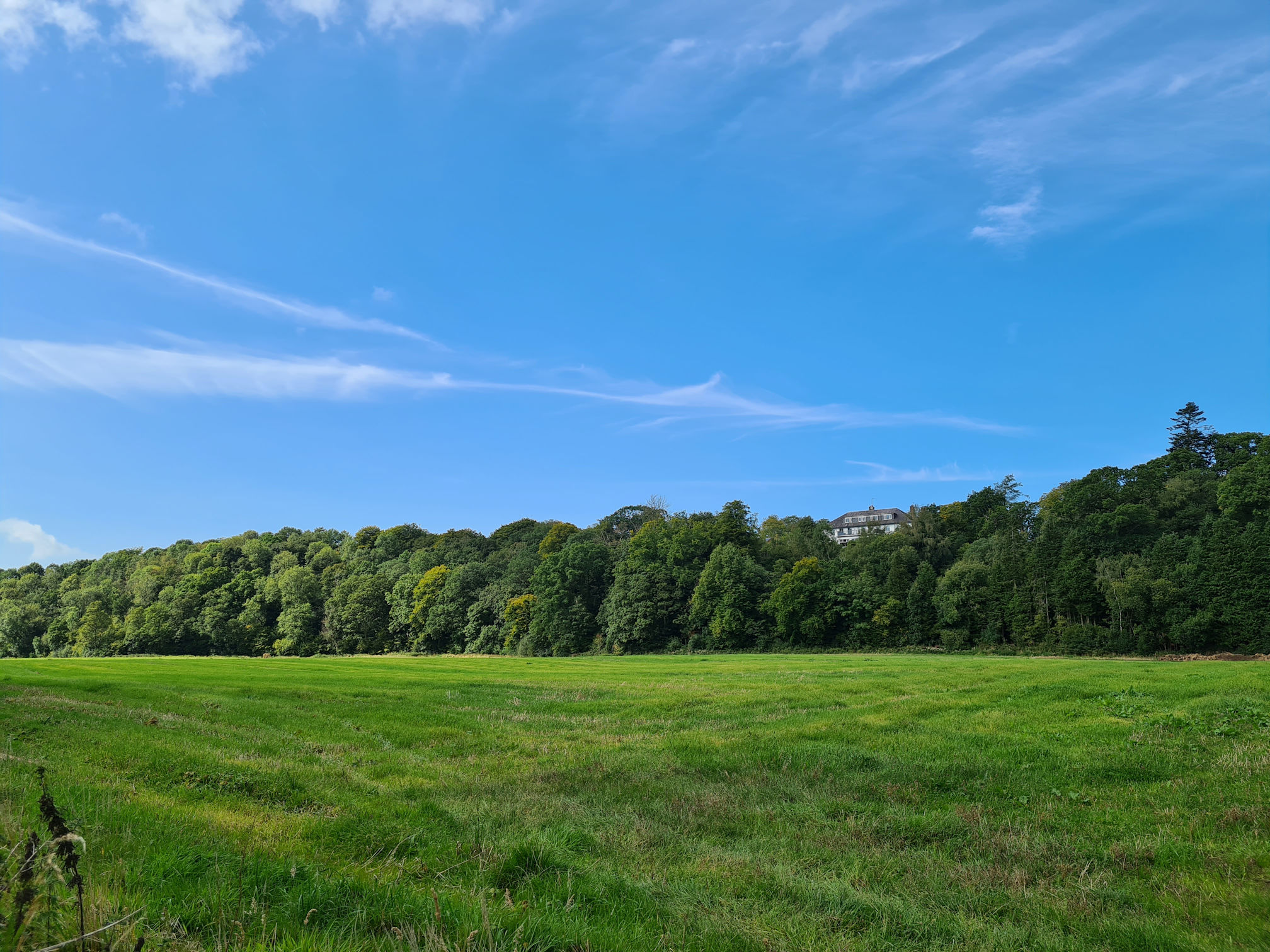 Lush green field, trees in the distance and a large white building perched high among the trees