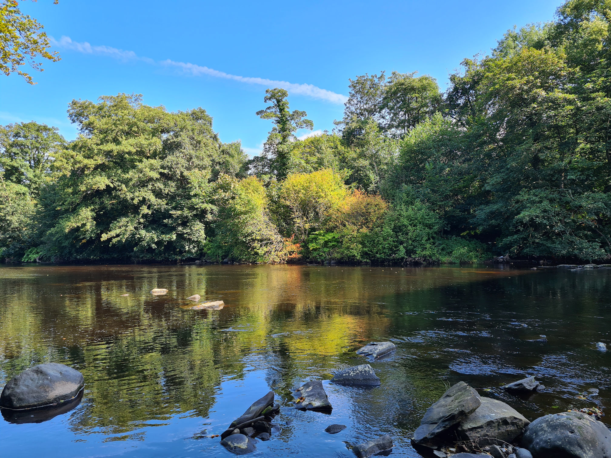 River Ayr and the beginnings of autumn reflecting in the water