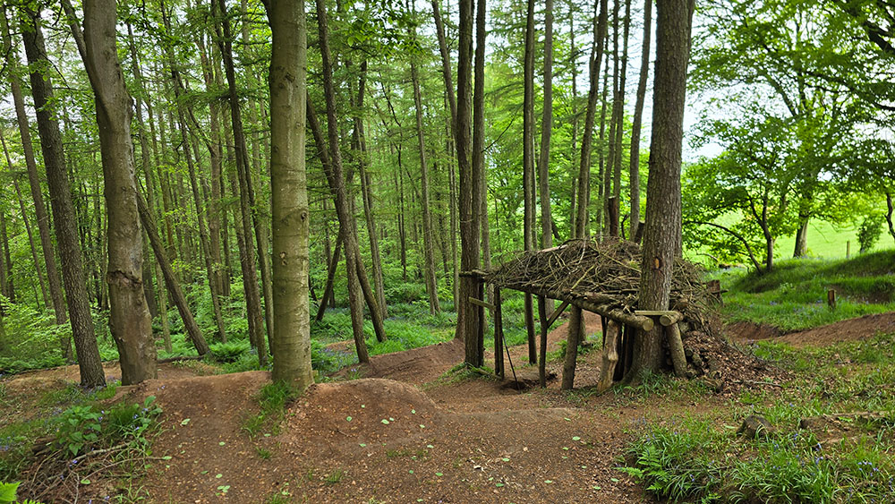 Wooden shelter in the woods and mountain bike tracks