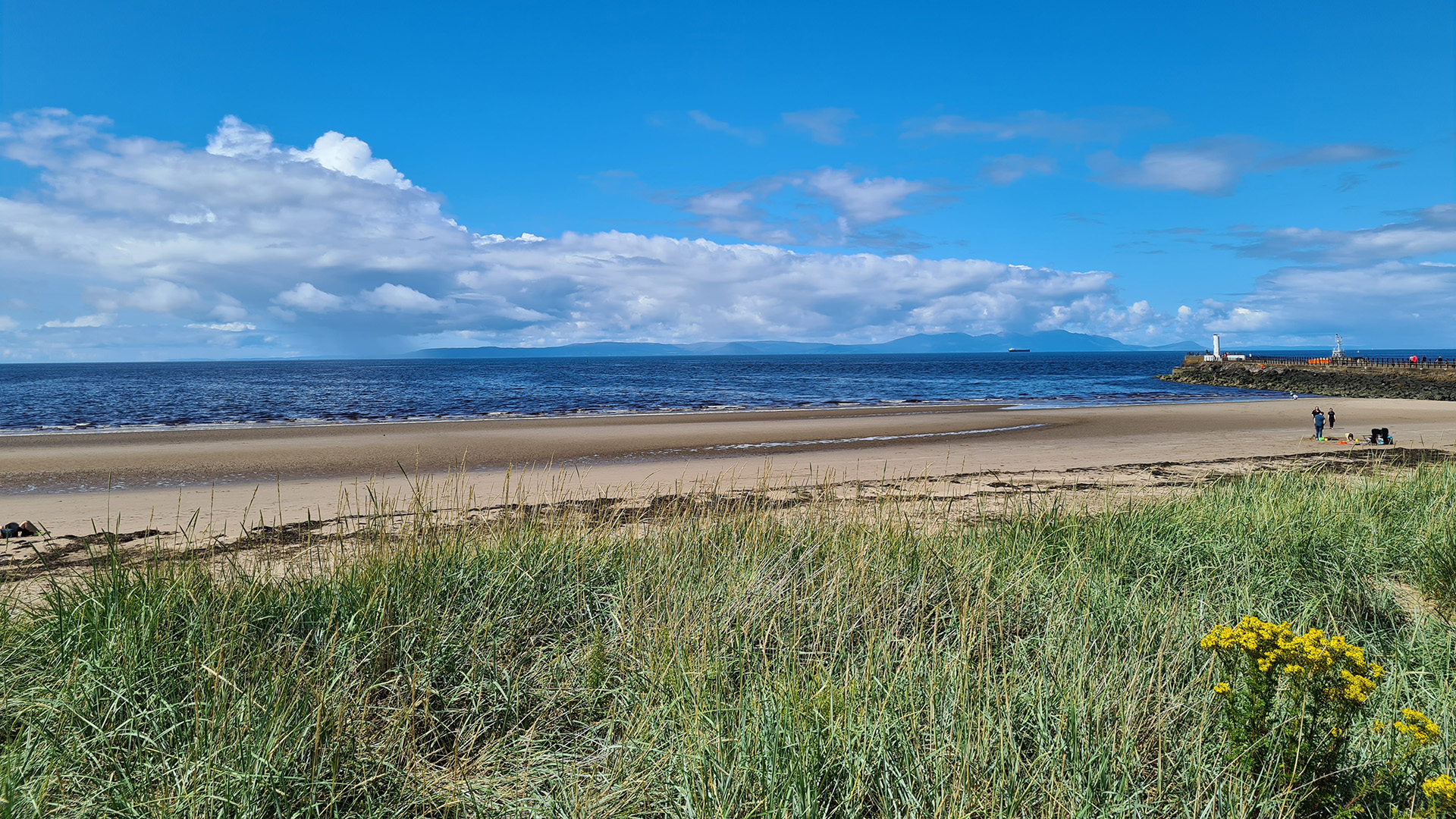 Long grass, golden sandy beach