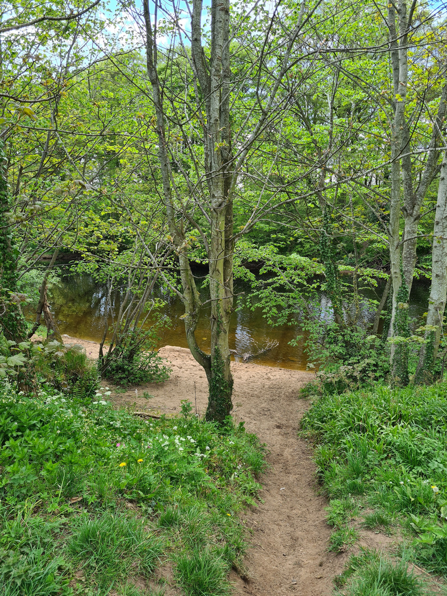 Sandy path down to the river