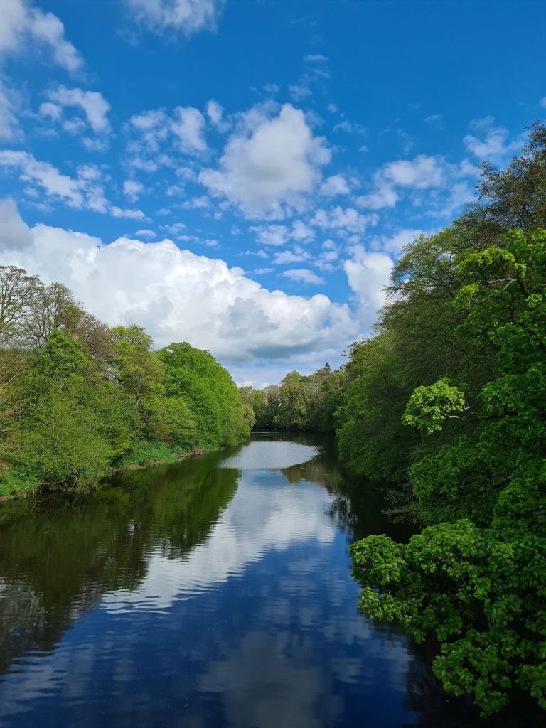 River view and trees