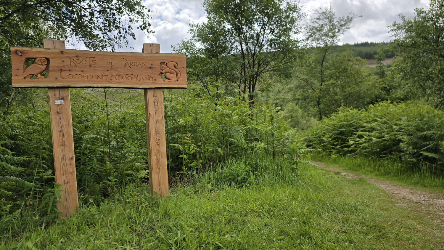 A hand crafted wooden sign with a carved owl and squirrel. The words "Roots of Arran Community Woodland" are carved on the wood to show the way to walk through the woods.