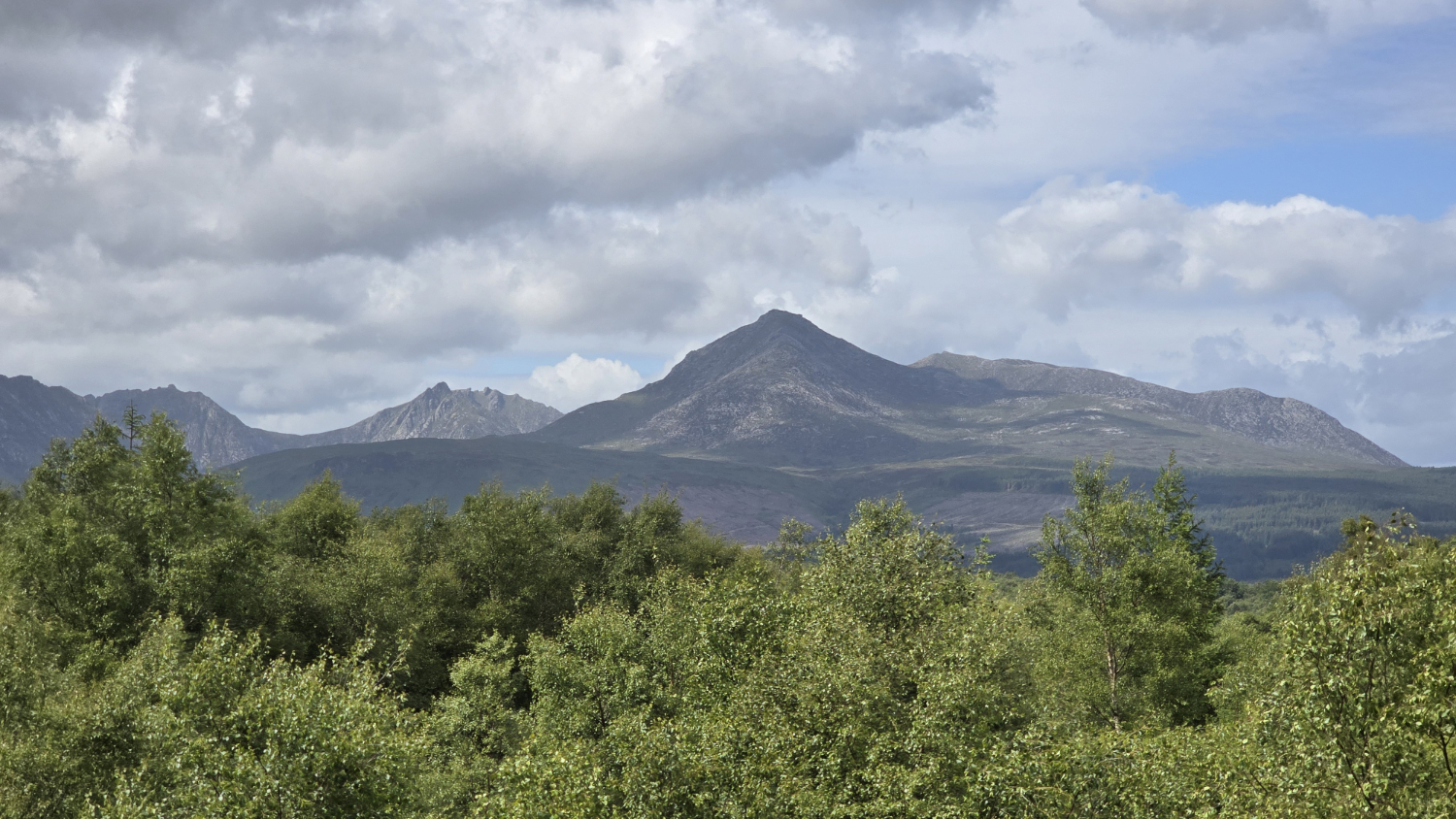Trees and the Arran mountains, with Goat Fell dominating the sky as the tallest mountain on the island