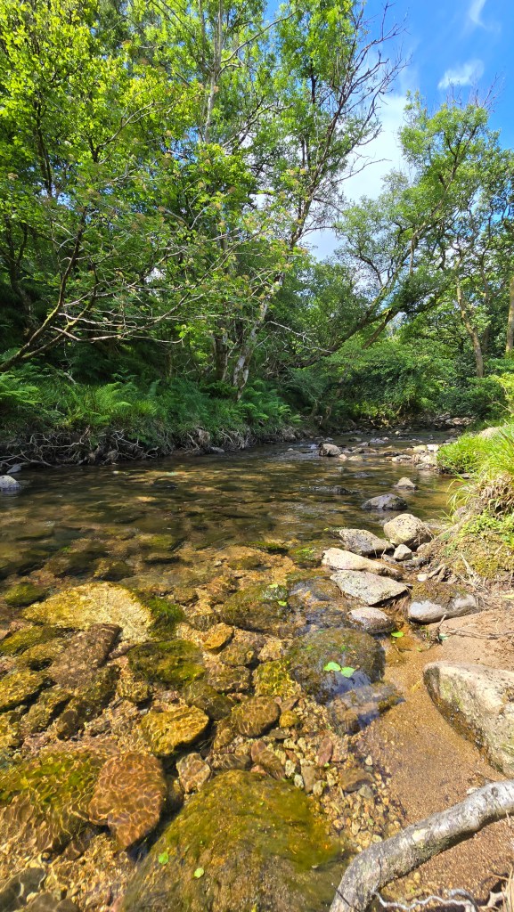 The Sannox Burn with lots of rocks and boulders under the clear water which was glimmering in the sunlight
