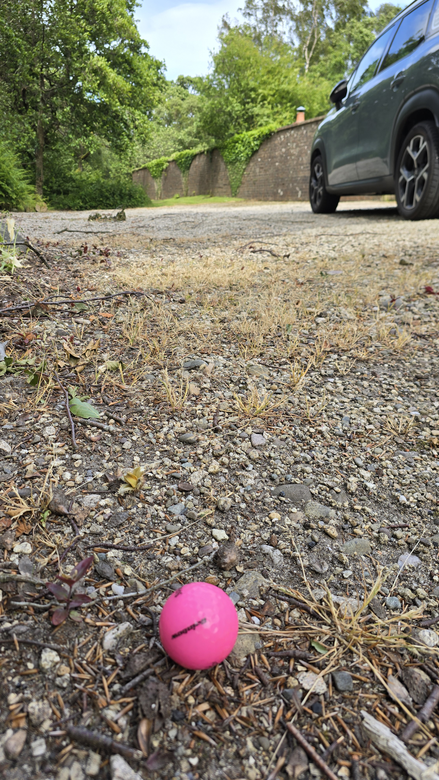 A pink golf ball on the ground beside a car