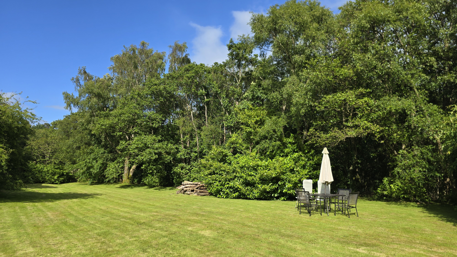 Green short lawn, trees, table and chairs, pile of logs, in a walled garden