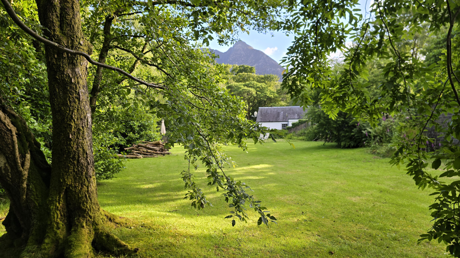 Old tree, green short lawn, white cottage and a mountain peak above the cottage