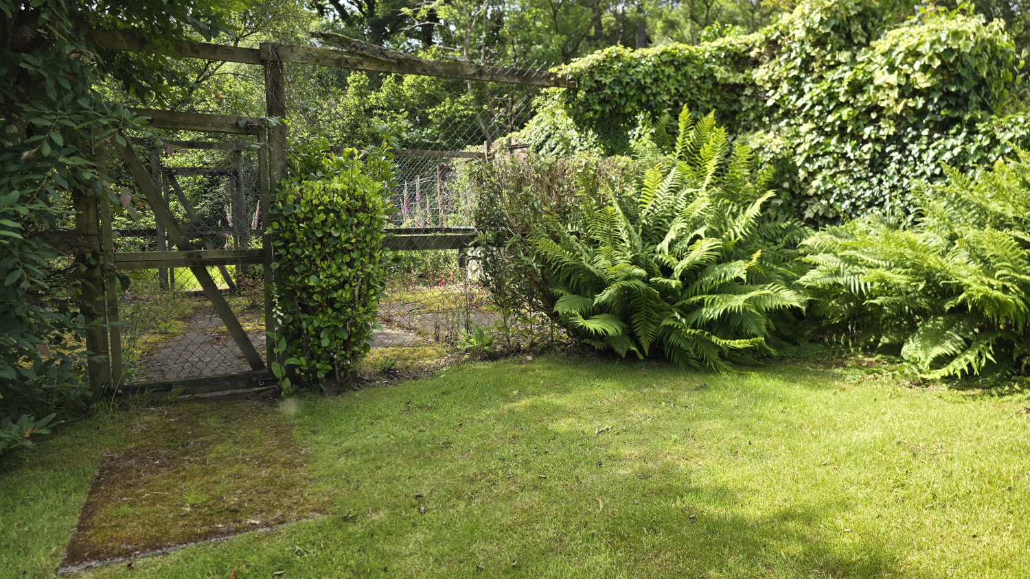 A high fence and gate leading to an overgrown enclosure