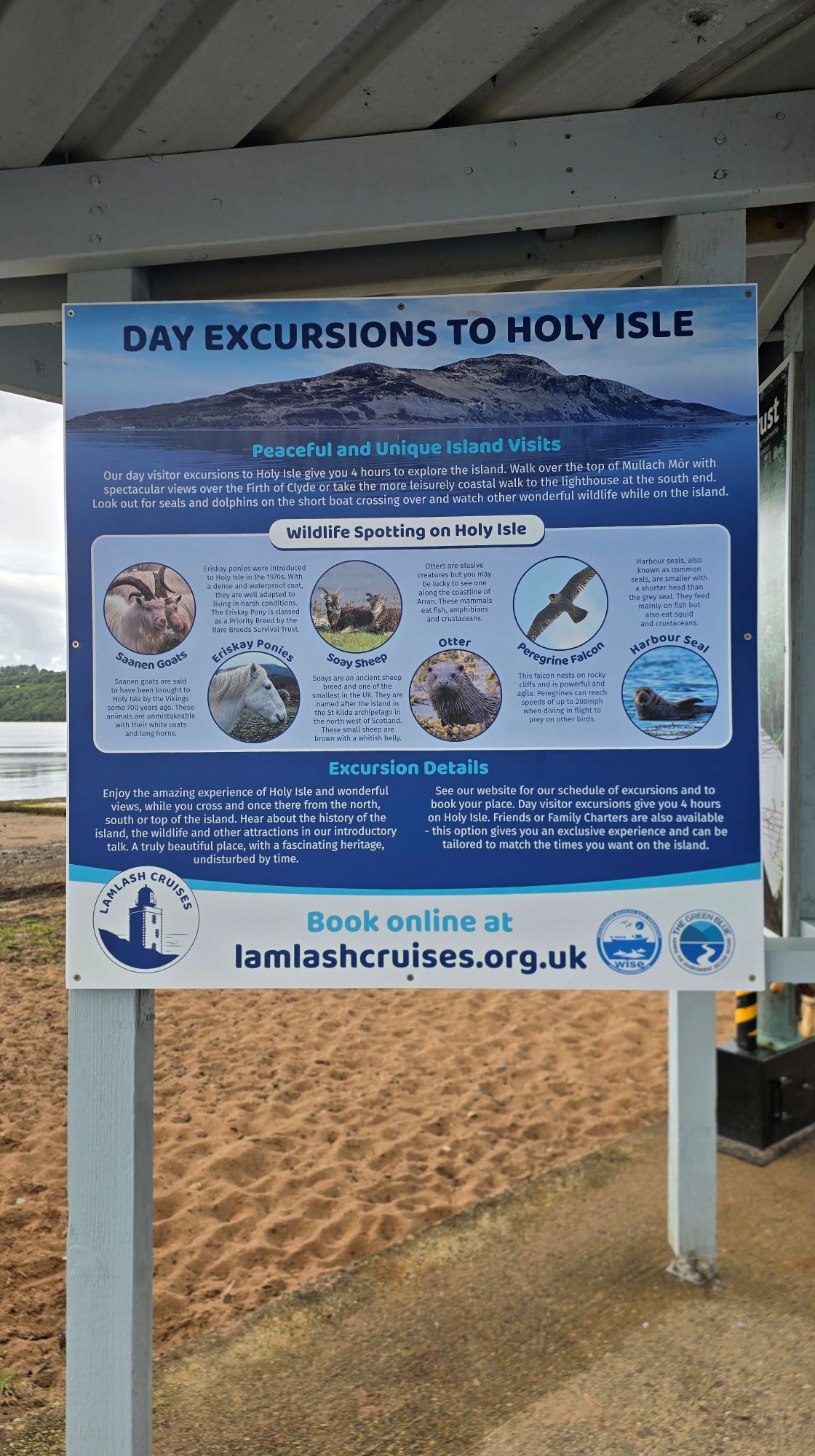 Information about day excursions to Holy Isle and wildlife spotting