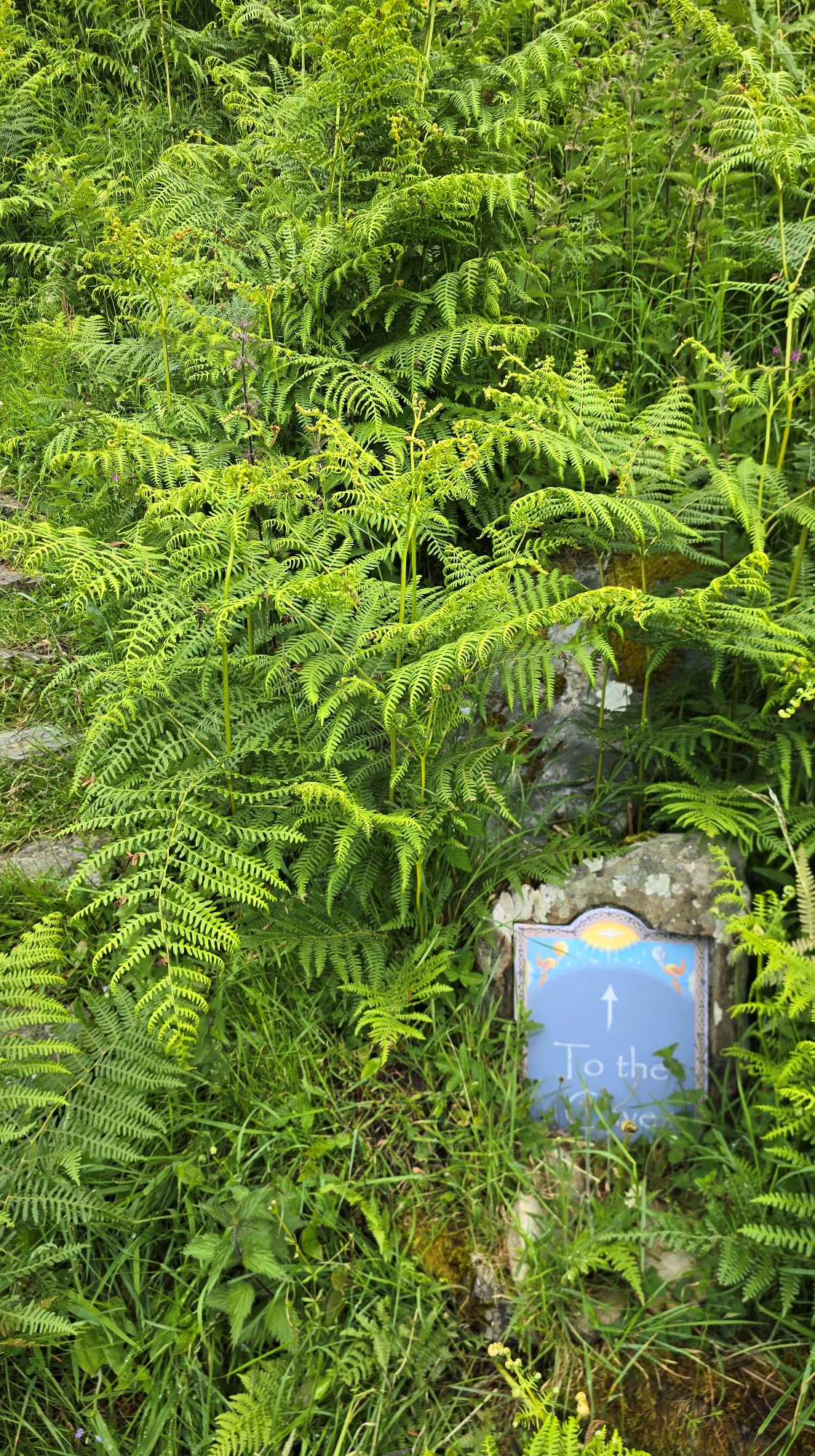 Small rock with a sign pointing to Saint Molaise's Cave