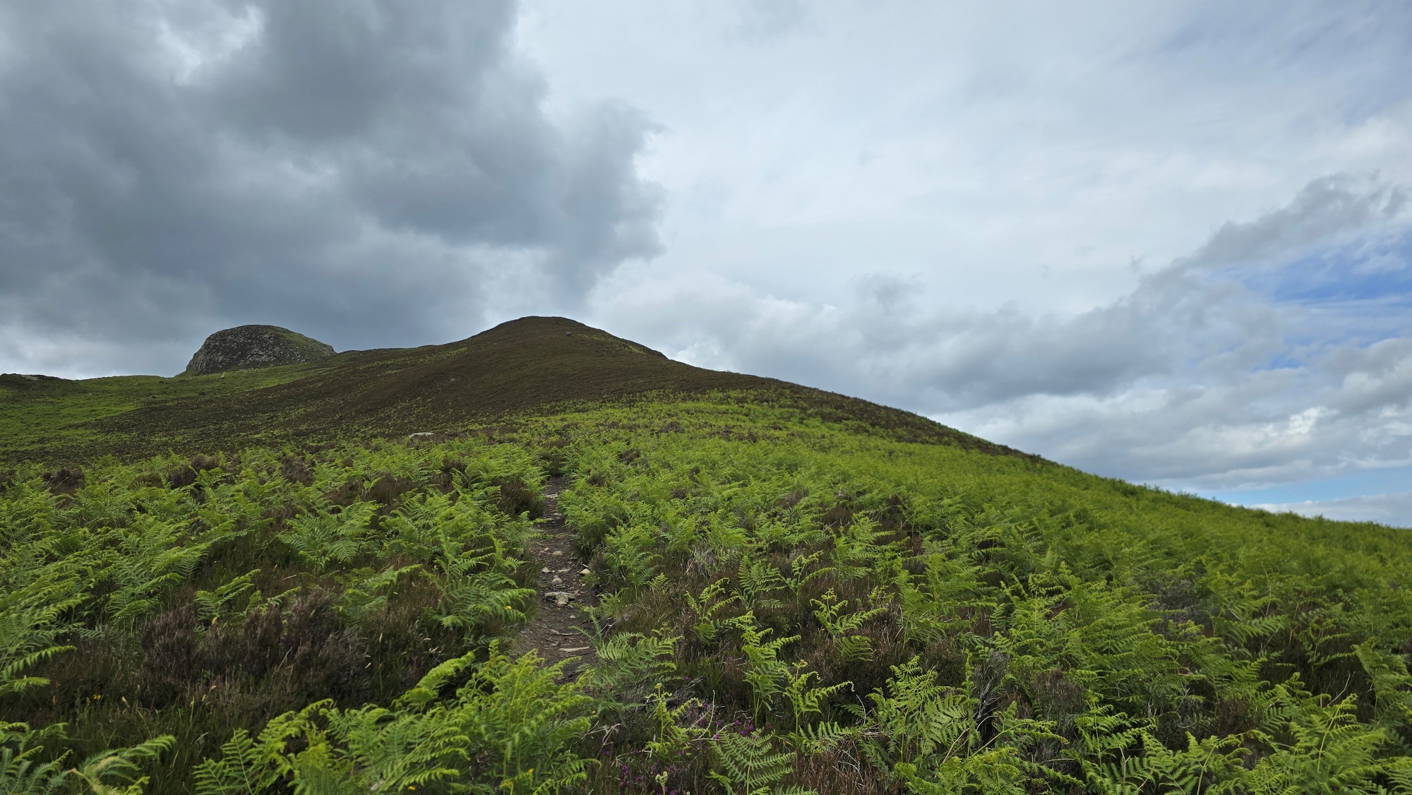 Looking up to the top of the Holy Isle