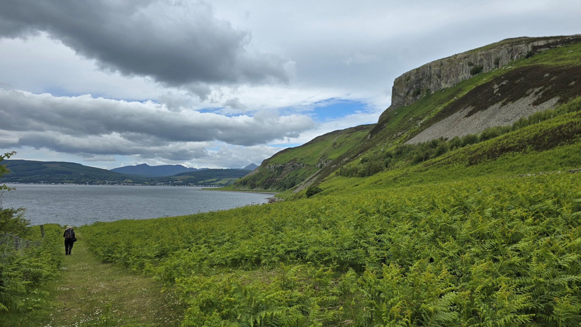 Man walking on grassy path, lush green Bracken, sea and mountain views