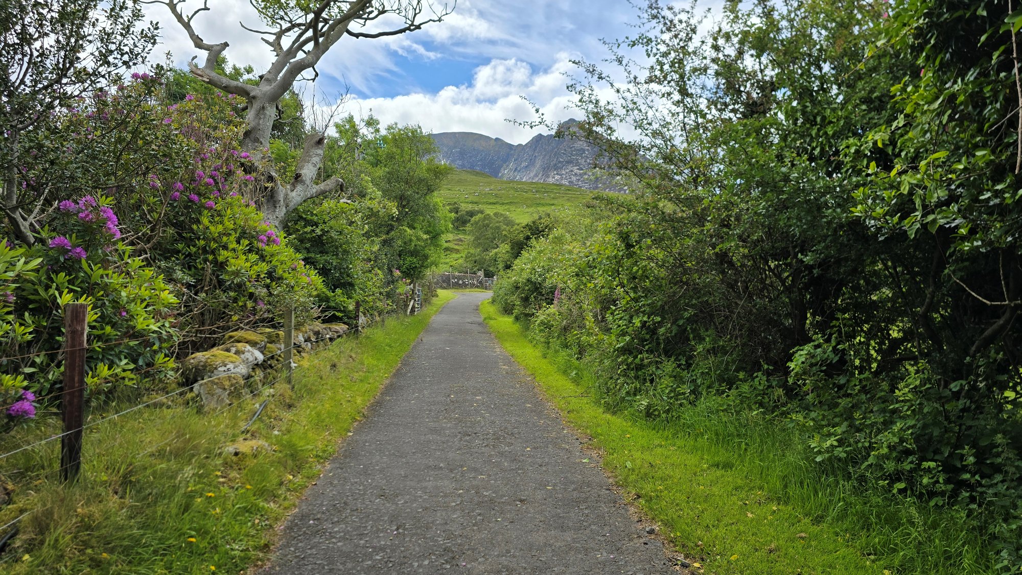 Path leading to Glen Sannox with mountains in the distance