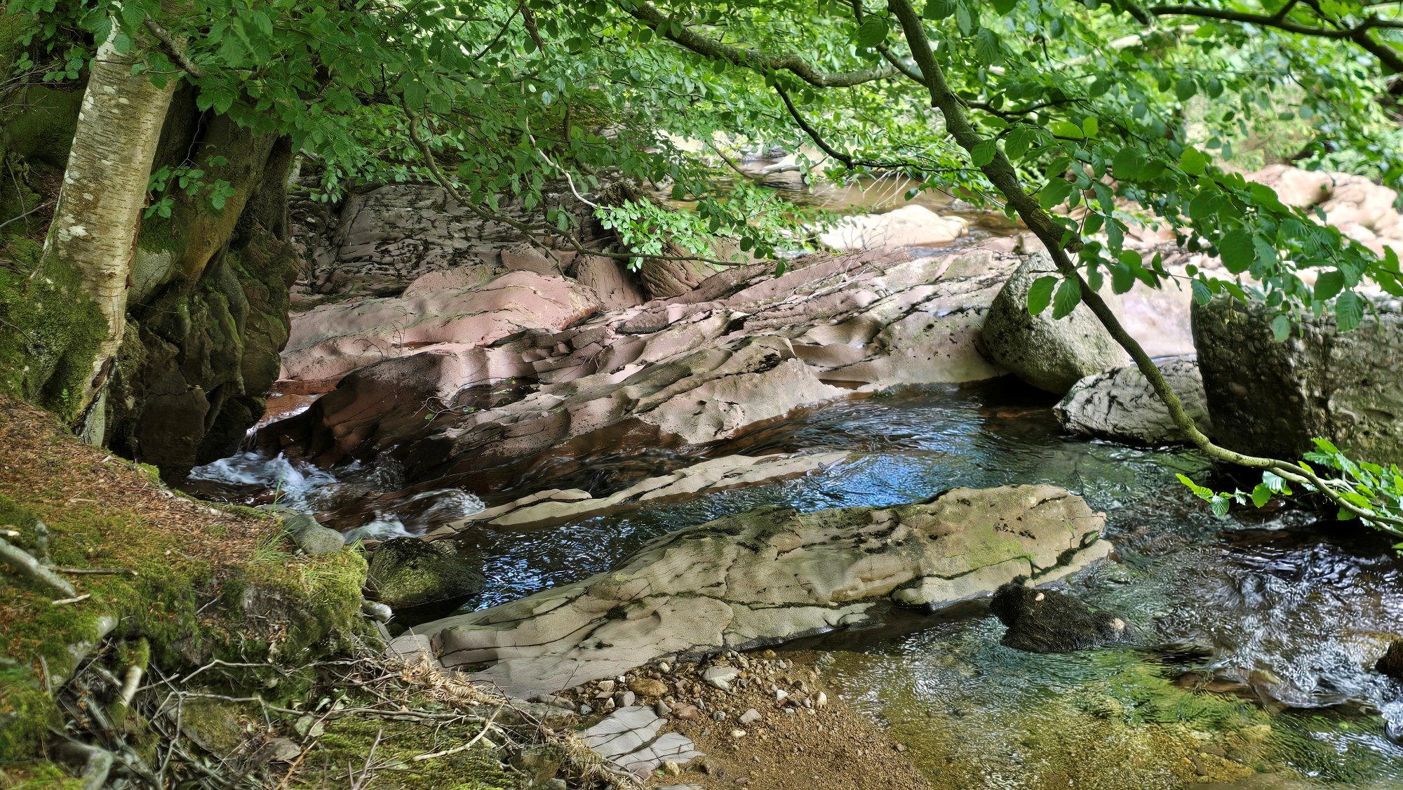 Crystal clear water running fast downstream through  sandstone rocks. A tree hangs over the rocks.