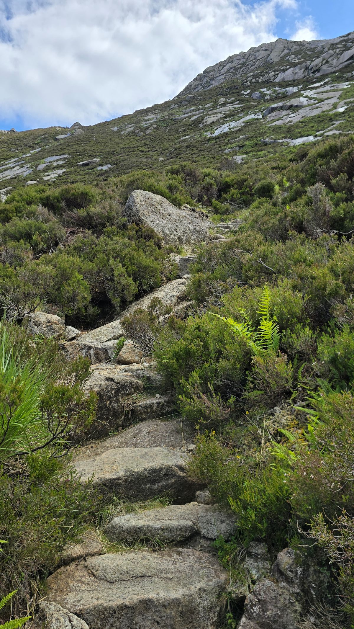 Narrow stone steps leading up a mountain