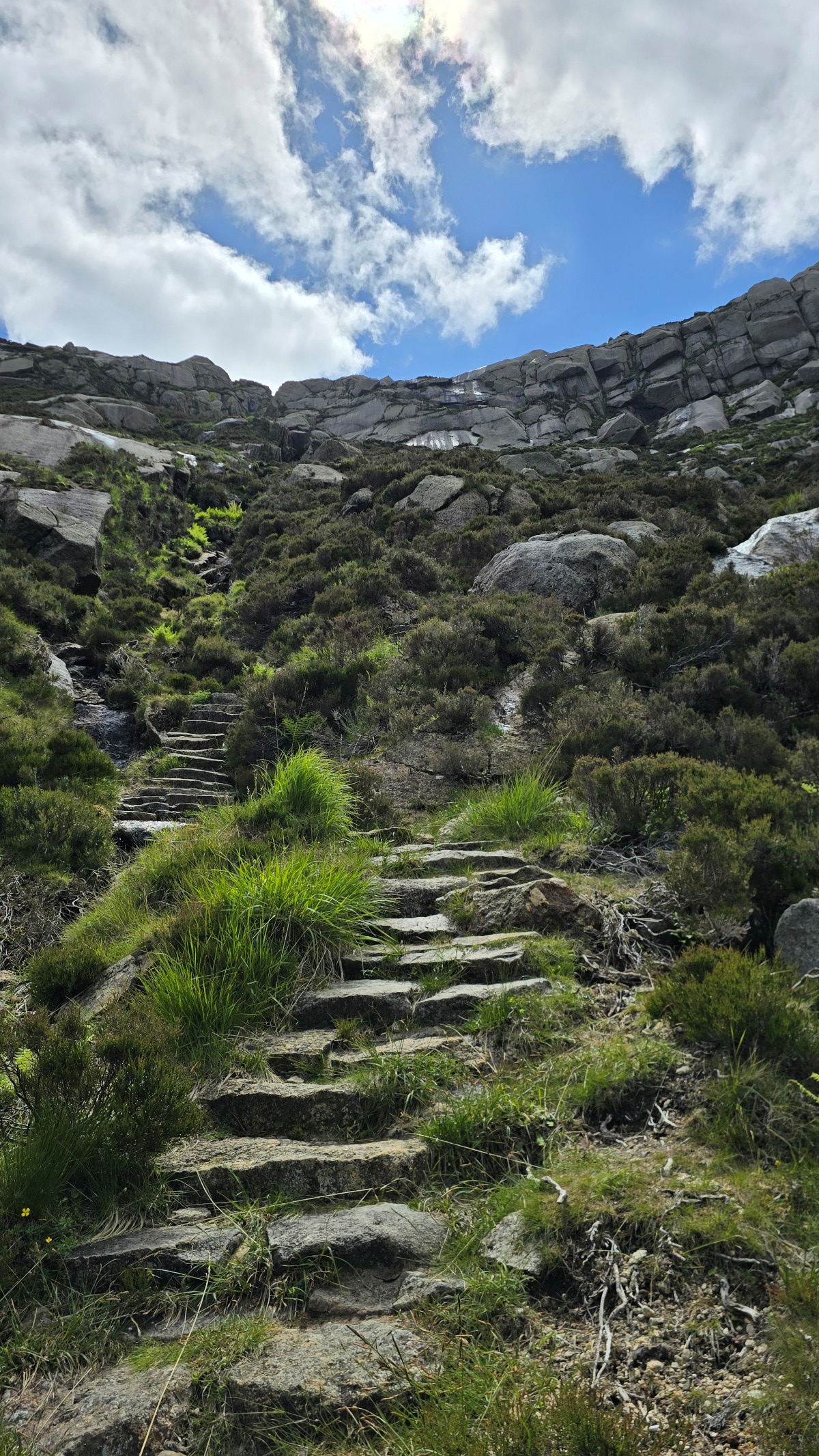 Steep boulder steps leading up a mountain