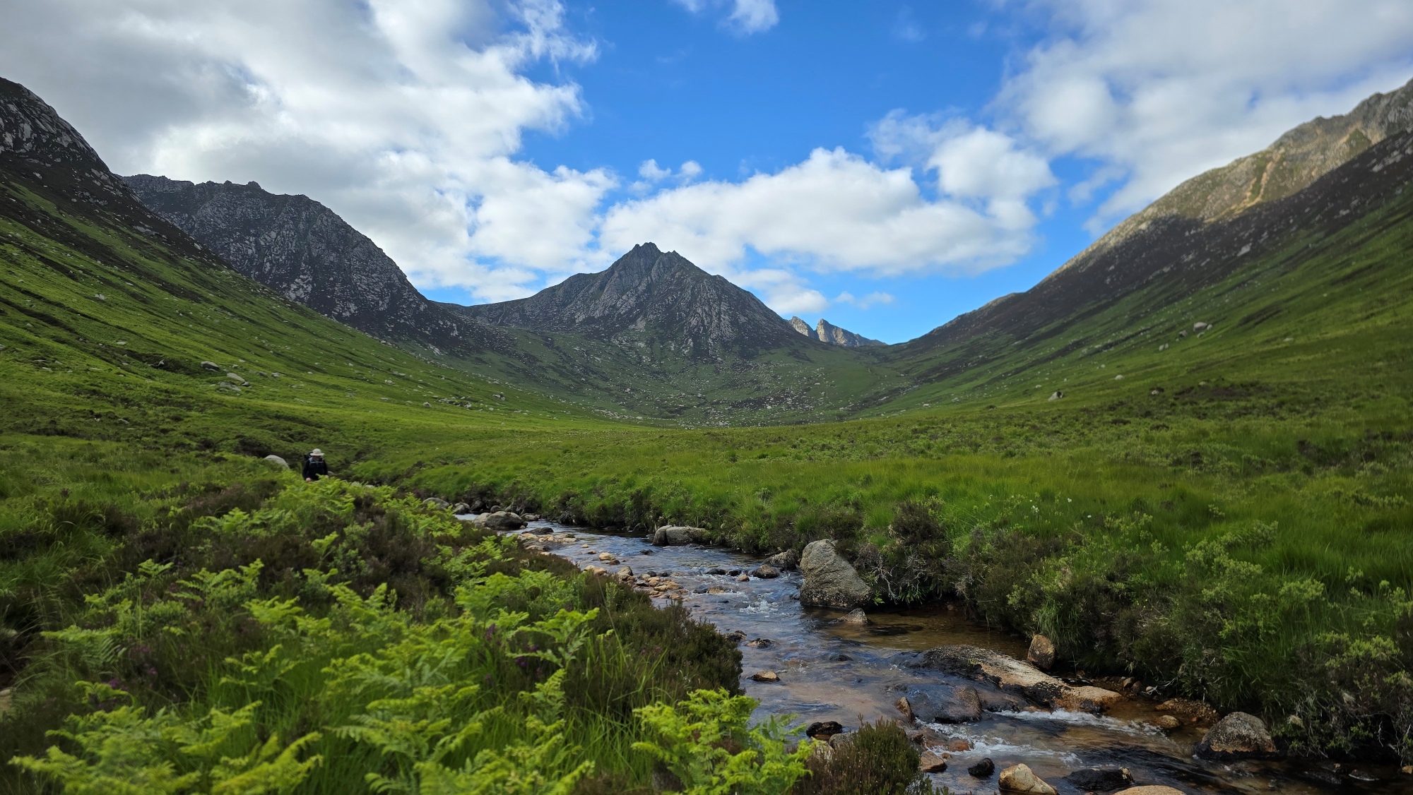 A burn and mountains in the distance