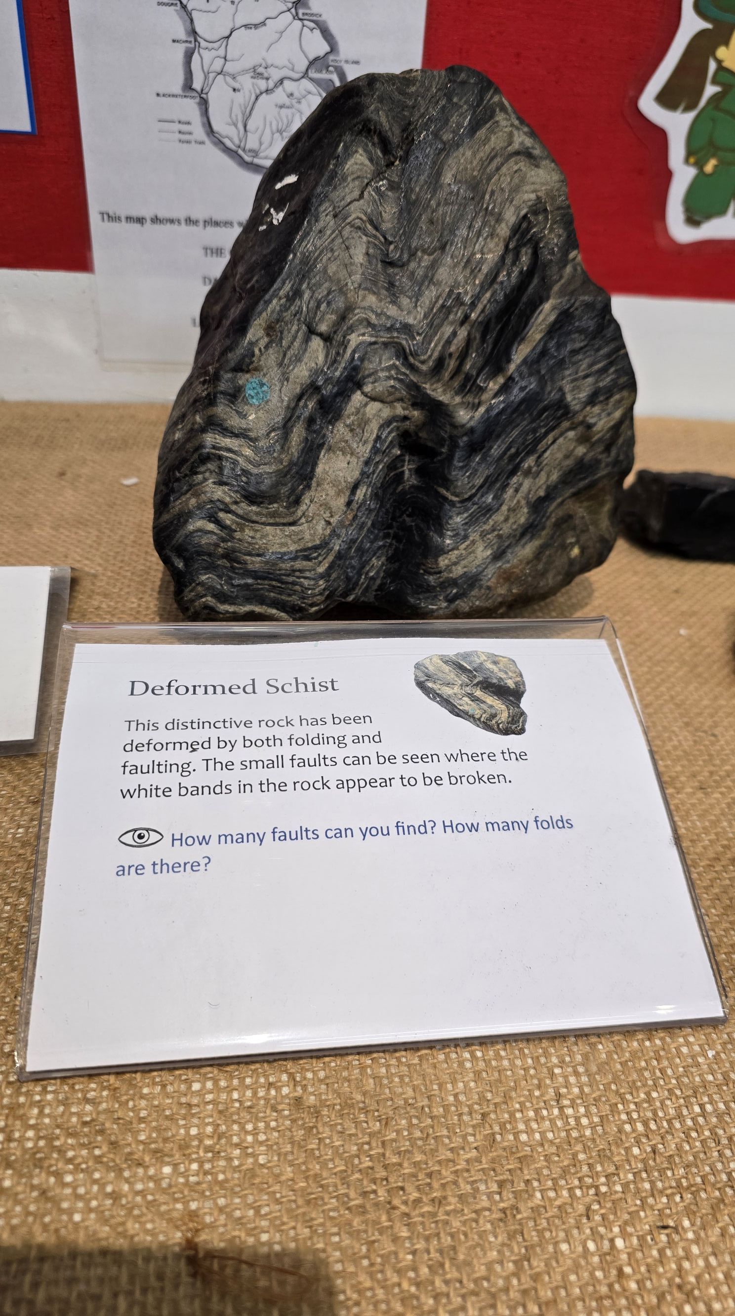 Deformed Schist rock