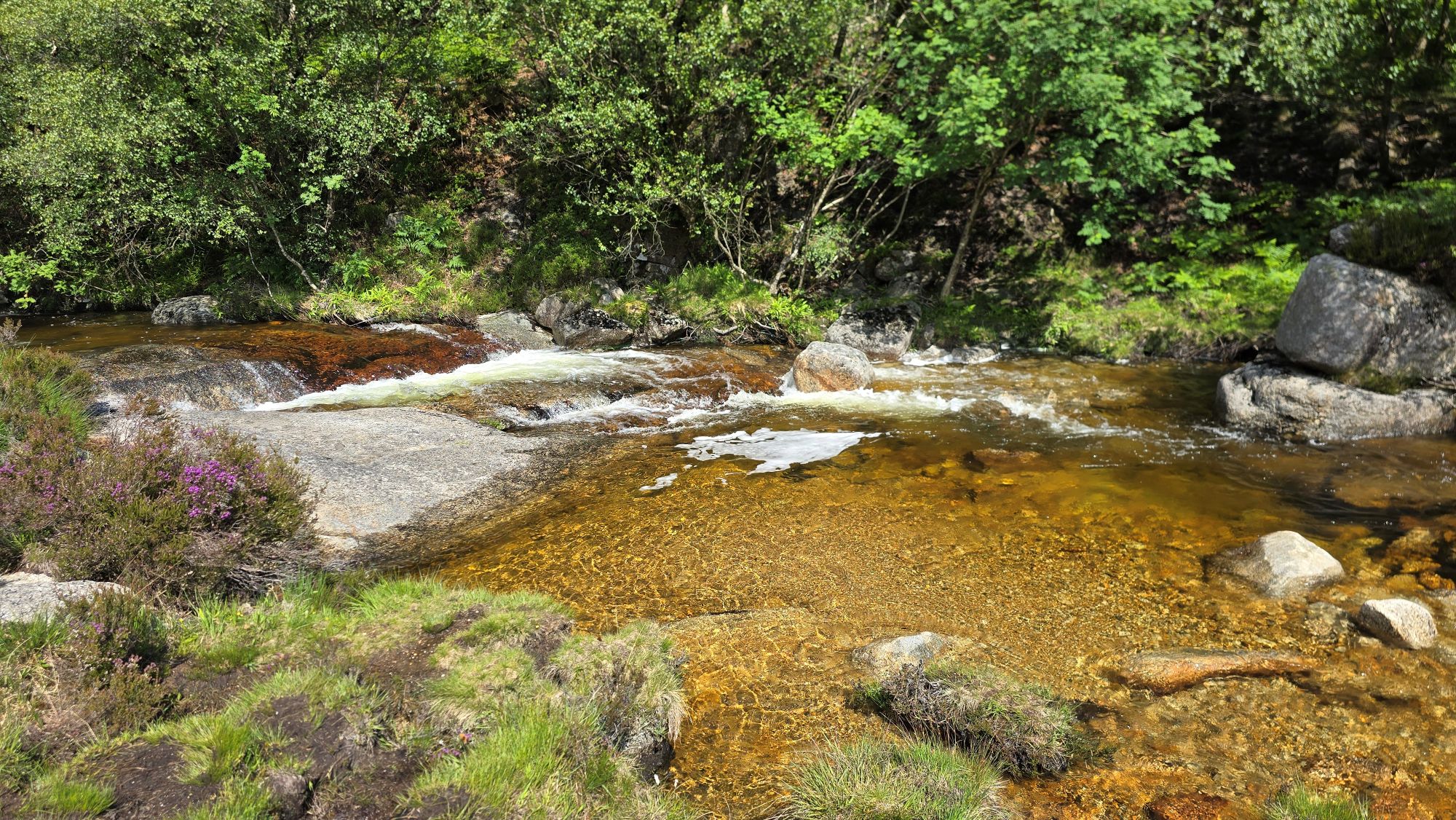 Water shimmering in the sunlight flowing down a bed of rocks
