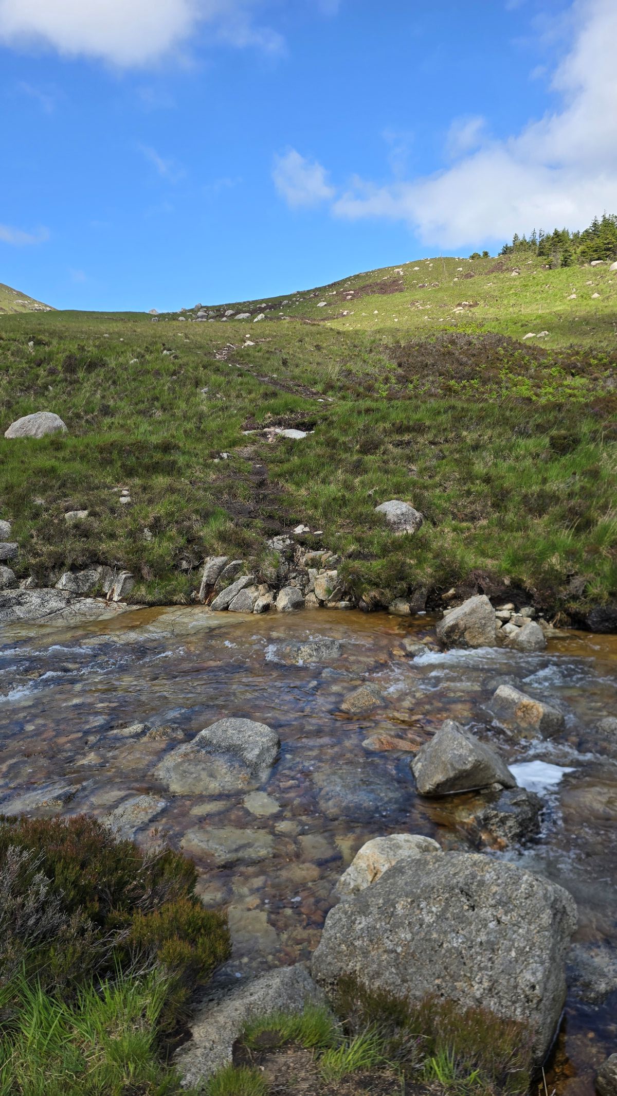 Stepping stones to cross the burn