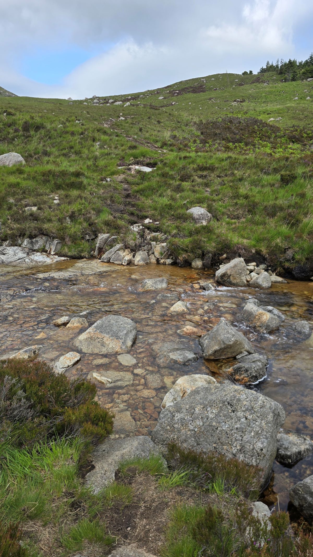 Stepping stones to cross the burn