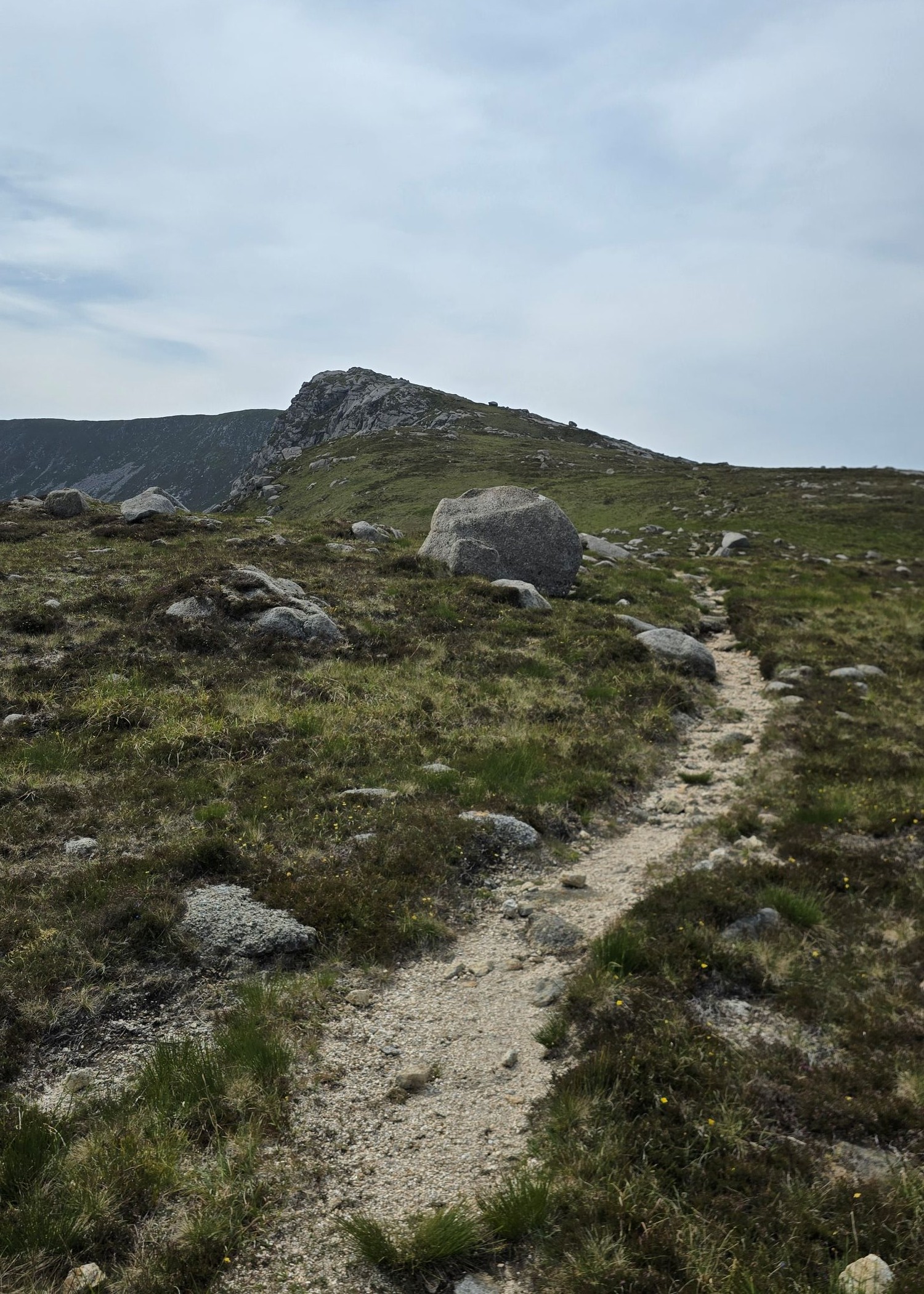 Path leading up a mountain