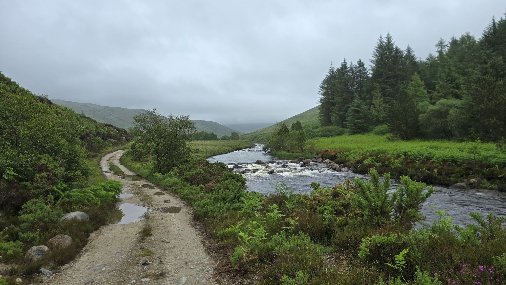 Footpath and river on a cloudy wet day