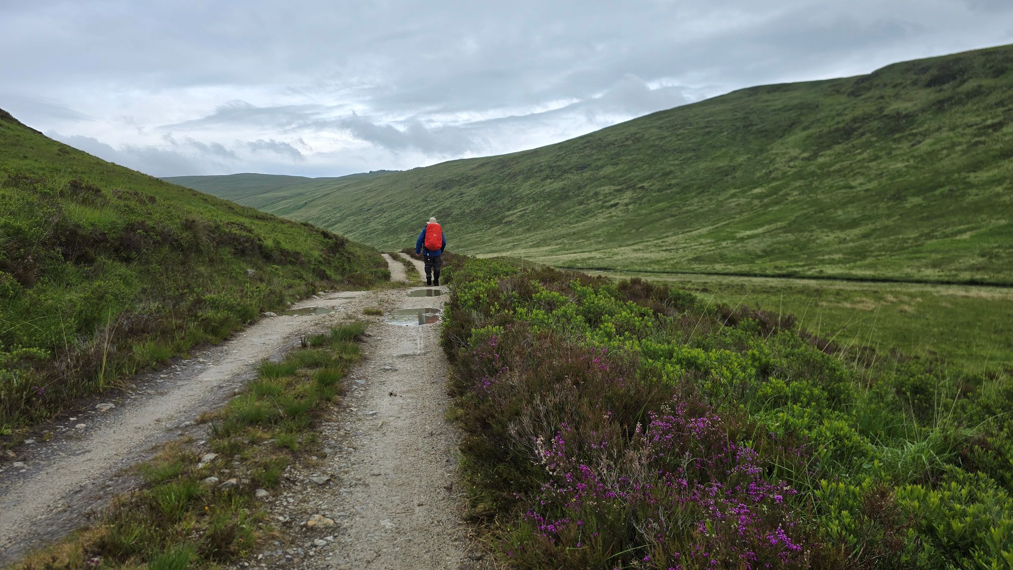 Person walking along a path in the hills and heather